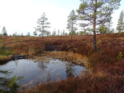Snåsa kommune geografisk midtpunkt