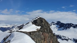 Lille Stigbotthornet