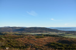 Årvikfjellet