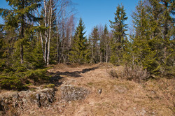 Solbergåsen