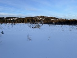 Kvinnhalla