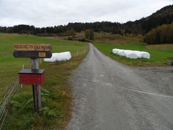 Randastøylen bomveg