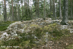 Vardeberget