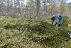 Utløetuft Skredteigane