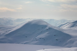 Svartefjellet