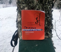 Haugsbakksetran Trimpost