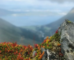 Nord for Middagshornet