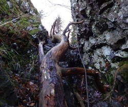 Bratt kløft Løvøya nordøst