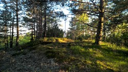 Ringfjellet