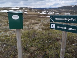 Hollastølfjellet turmål