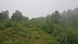 Storehaug fra Resaland