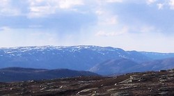 Grofjell