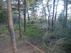 Sauhaugen ved Skeisåsen