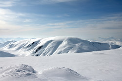 Kvitefjellet