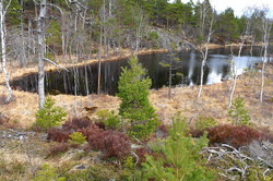 Kampetjernhøyda
