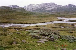 Stordalen seter (ruin)