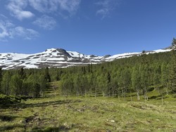 Skinnfjellet Østtoppen