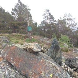 Sælafjellet