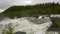 Målselvfossen
