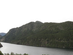 Tjørnåsen