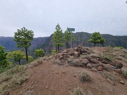 Roque de los cuervos