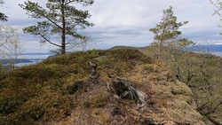 Tuvefjellet