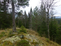 Søndre Liseterkollen