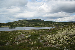 Langbrotkollen