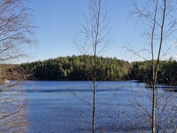 Dælikollen