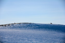 Nordfjordvarden