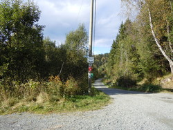 Hagahogget fra sør parkering