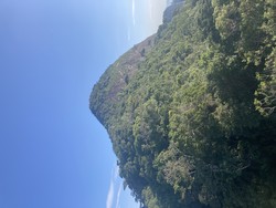 Pico da Tijuca