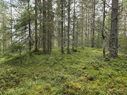 Nedre Seteråsen Sør 2