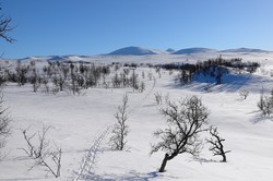 Rapestinden, Raehpientjahke
