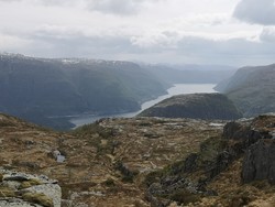 Fjellsnova