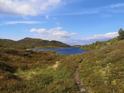 Årdalssæthaugen nord for