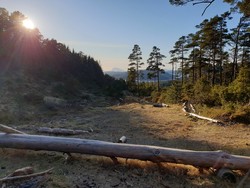 Gapahuken ved Liaflata