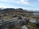 Vesterdalsfjellet