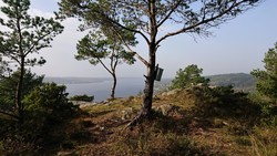 Holsberget