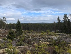 Snauknatten Nord