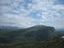 Høgahorgi