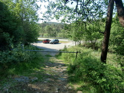 Børneskogen parkering