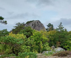 Vest for Søndre havn