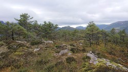 Kjerringefjellet
