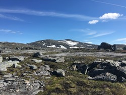 Måsvasstinden