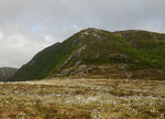Ramnefjellet