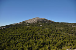 Mount Monadnock