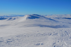 Høgstgråhøin Nord