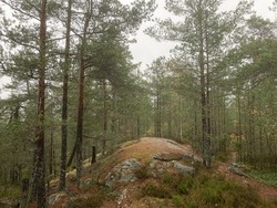 Taraldrudåsen