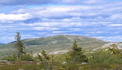 Ståvåfjell